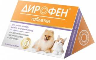 Таблетки от глистов Дирофен: применение для кошек, дозировка и состав