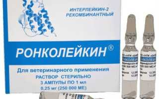 Ронколейкин для кошек: полный обзор препарата, применение, дозировка, противопоказания