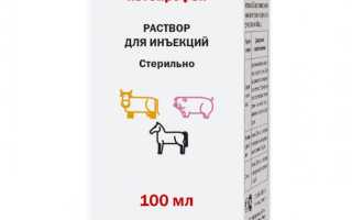 Флексопрофен 2,5%, 10мл