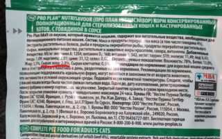 Содержание золы в корме для собак: нормы и рекомендации