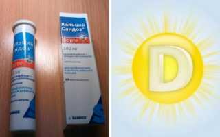 Как кормить совенка в домашних условиях