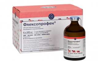 Флексопрофен (Flexoprofen): как правильно применять у кошек